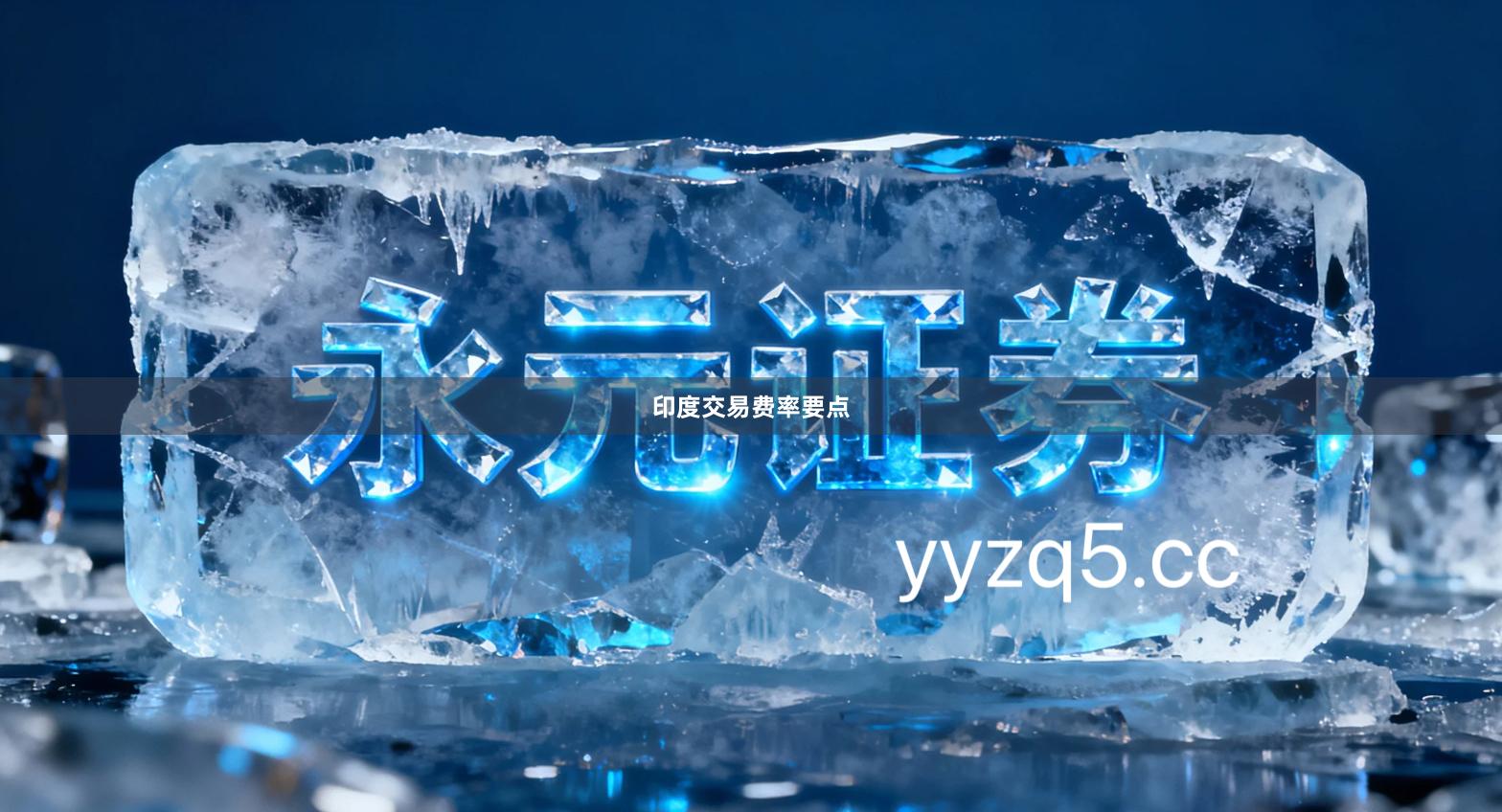 印度交易费率要点